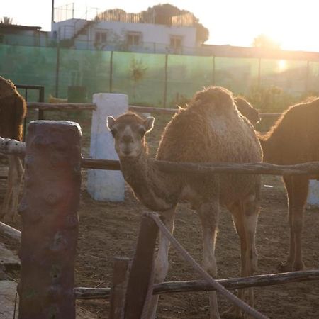 La Granja ξενώνας Tétouan Εξωτερικό φωτογραφία