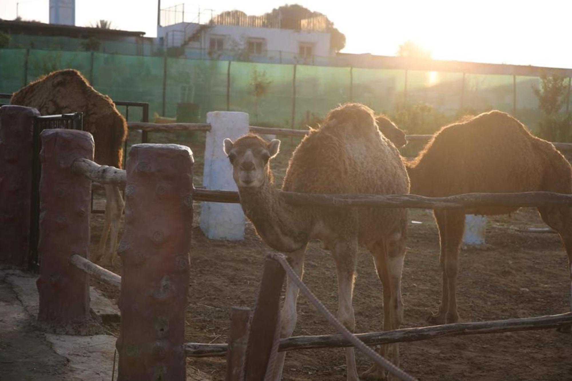 La Granja ξενώνας Tétouan Εξωτερικό φωτογραφία